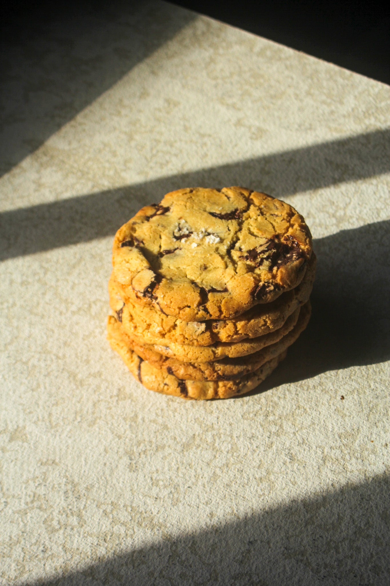 Salted Choc Chip Cookie (5-pack)