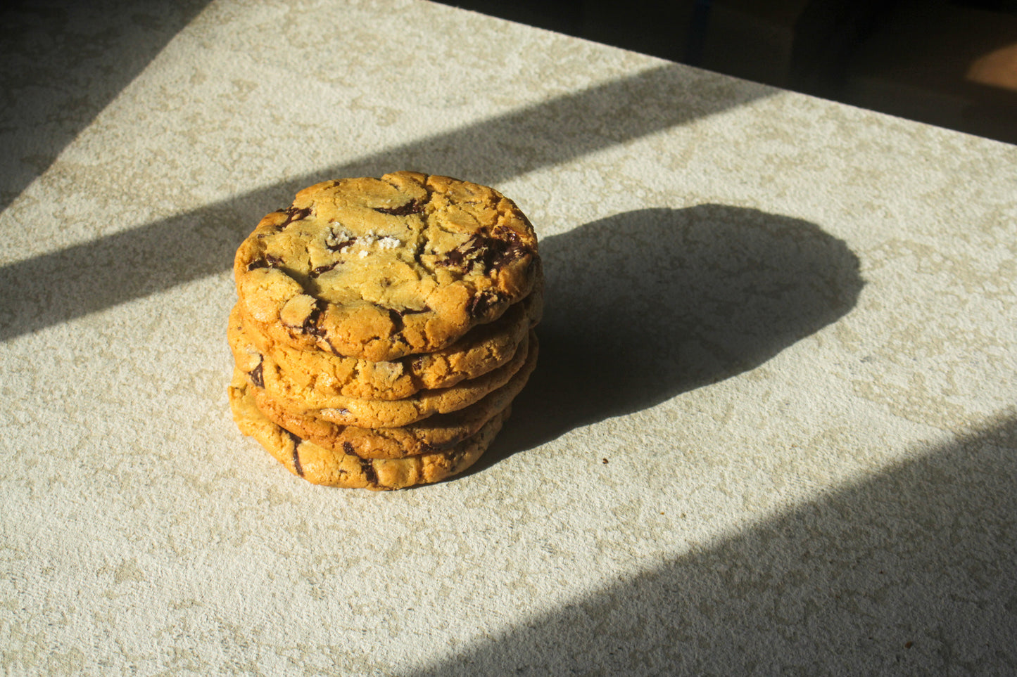 Salted Choc Chip Cookie (5-pack)