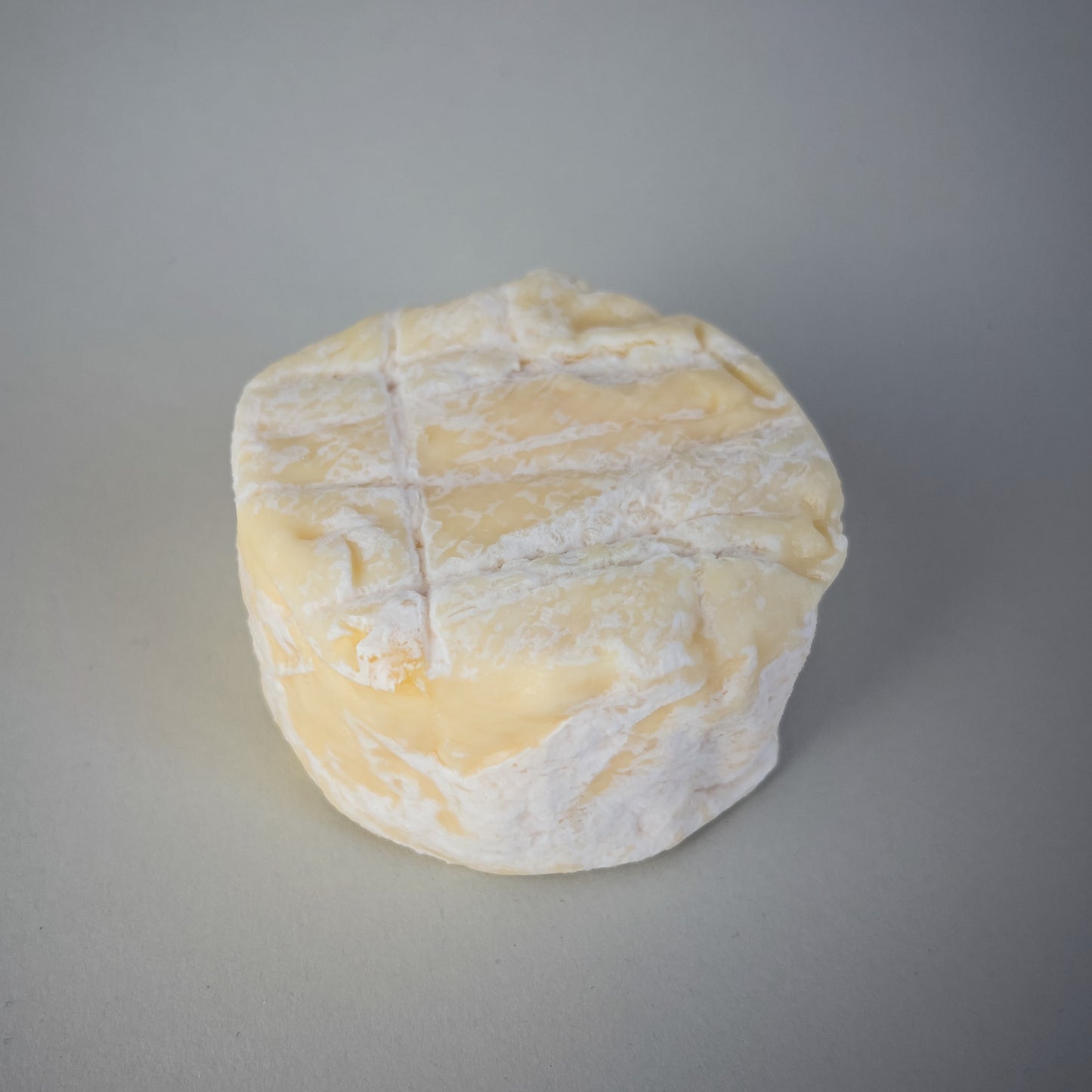 Long Paddock Silver Wattle 180g