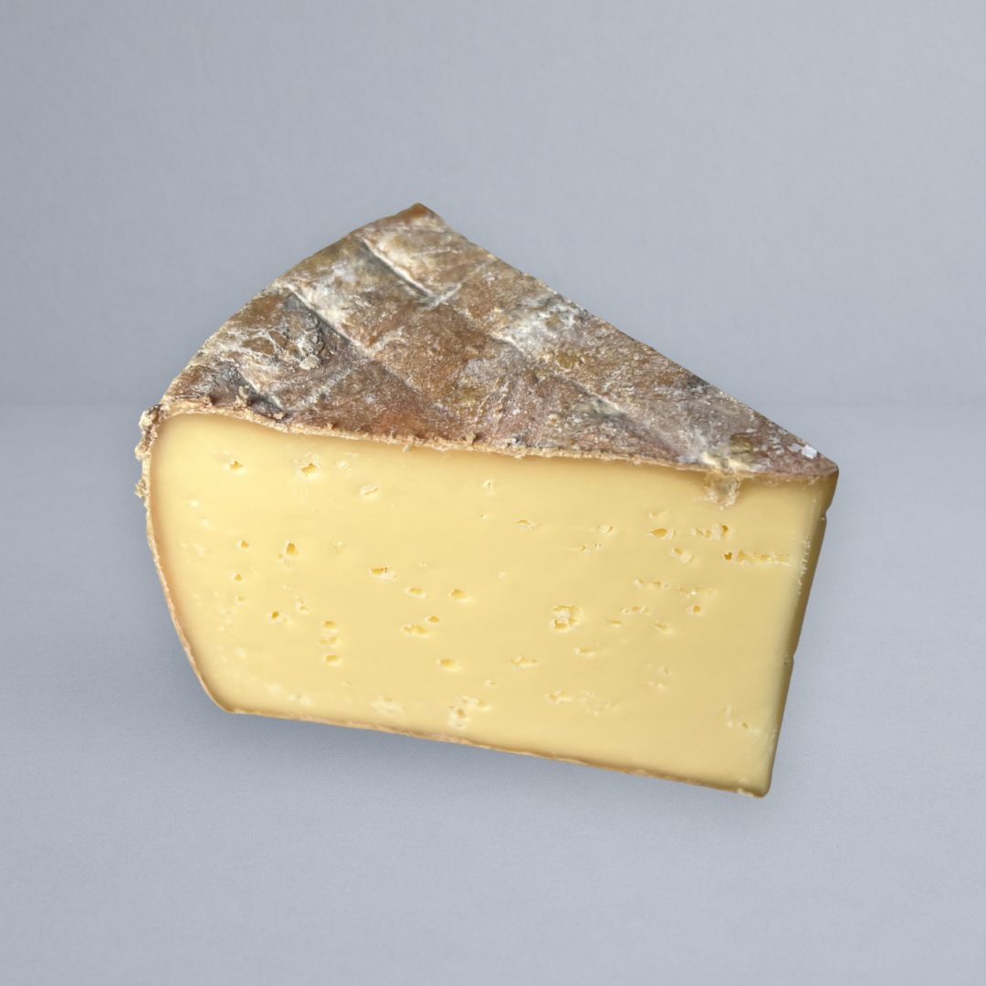 Long Paddock Banksia